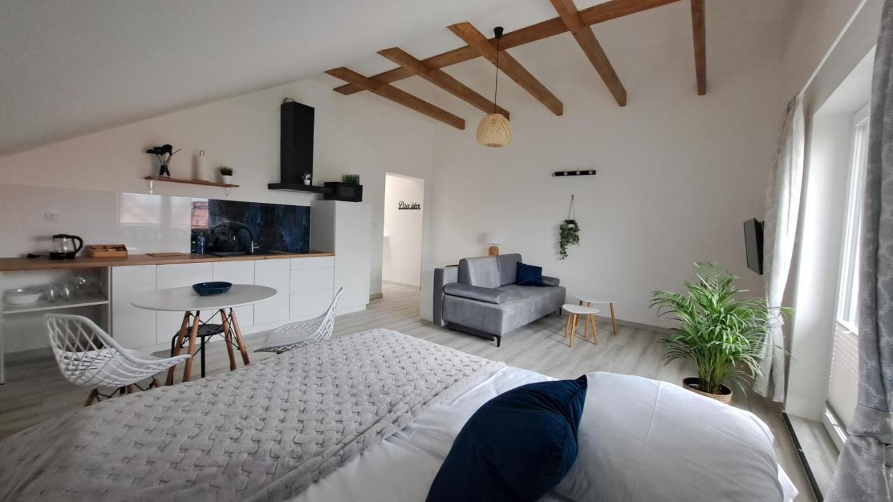 Apartamenty Bujaki Ustroń Buitenkant foto