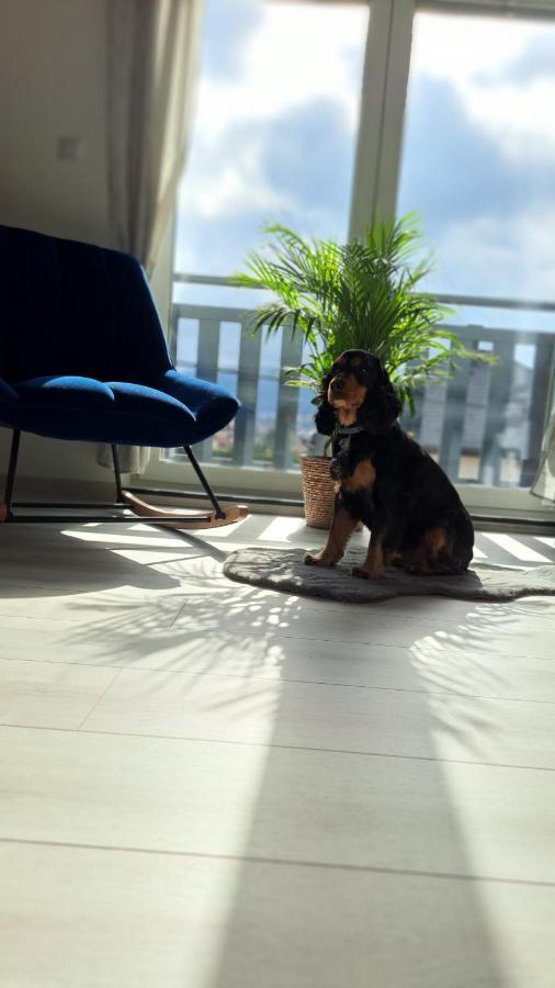 Apartamenty Bujaki Ustroń Buitenkant foto